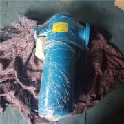 dn80氣水分離器去除沼氣中的水分 旋風汽水分離器