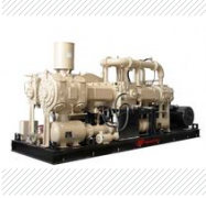 DSF.2001.6VG.10.S英德諾曼internormen雙筒過...